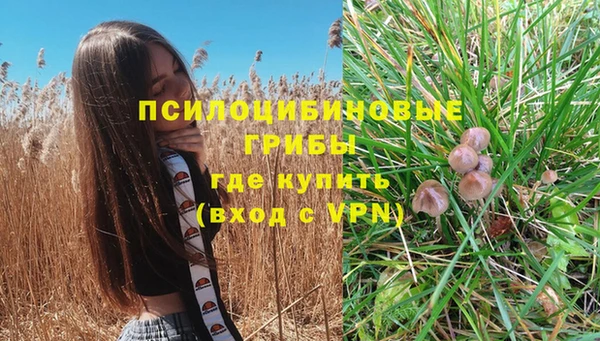 прущая мука Алзамай