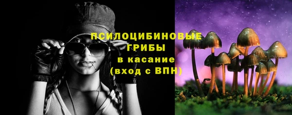 ALPHA-PVP Елизово