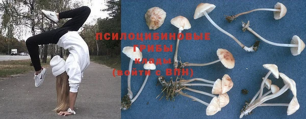 MESCALINE Елабуга