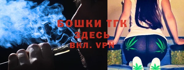 гидра Алексин