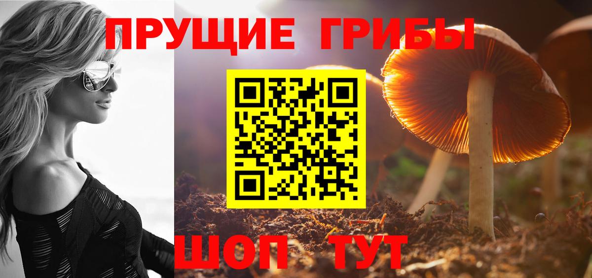 Галлюциногенные грибы Cubensis Геленджик