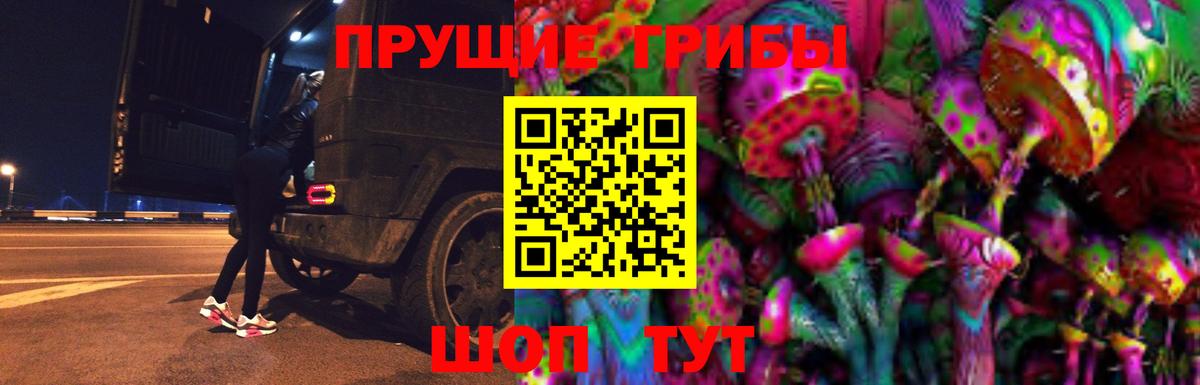 Псилоцибиновые грибы Psilocybe  Вход с VPN  Геленджик 