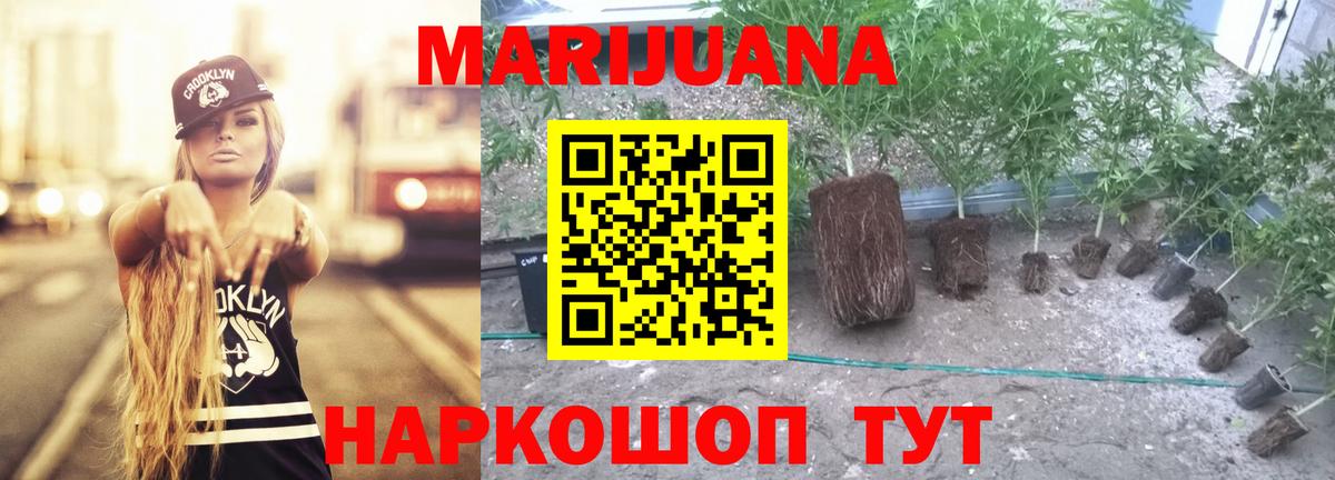 Бошки Шишки планчик  Каннабис индика  Вход с VPN  Бошки Шишки планчик  Геленджик  МАРИХУАНА гибрид 
